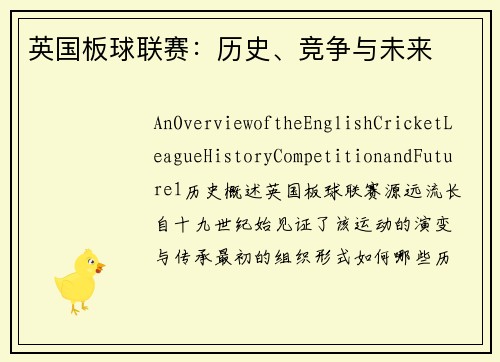 英国板球联赛：历史、竞争与未来