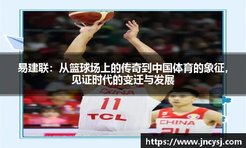 TVT体育官网入口