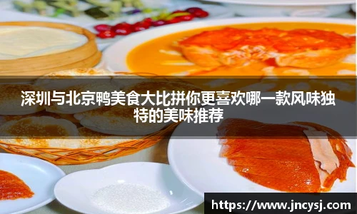 TVT体育手机网页版登录